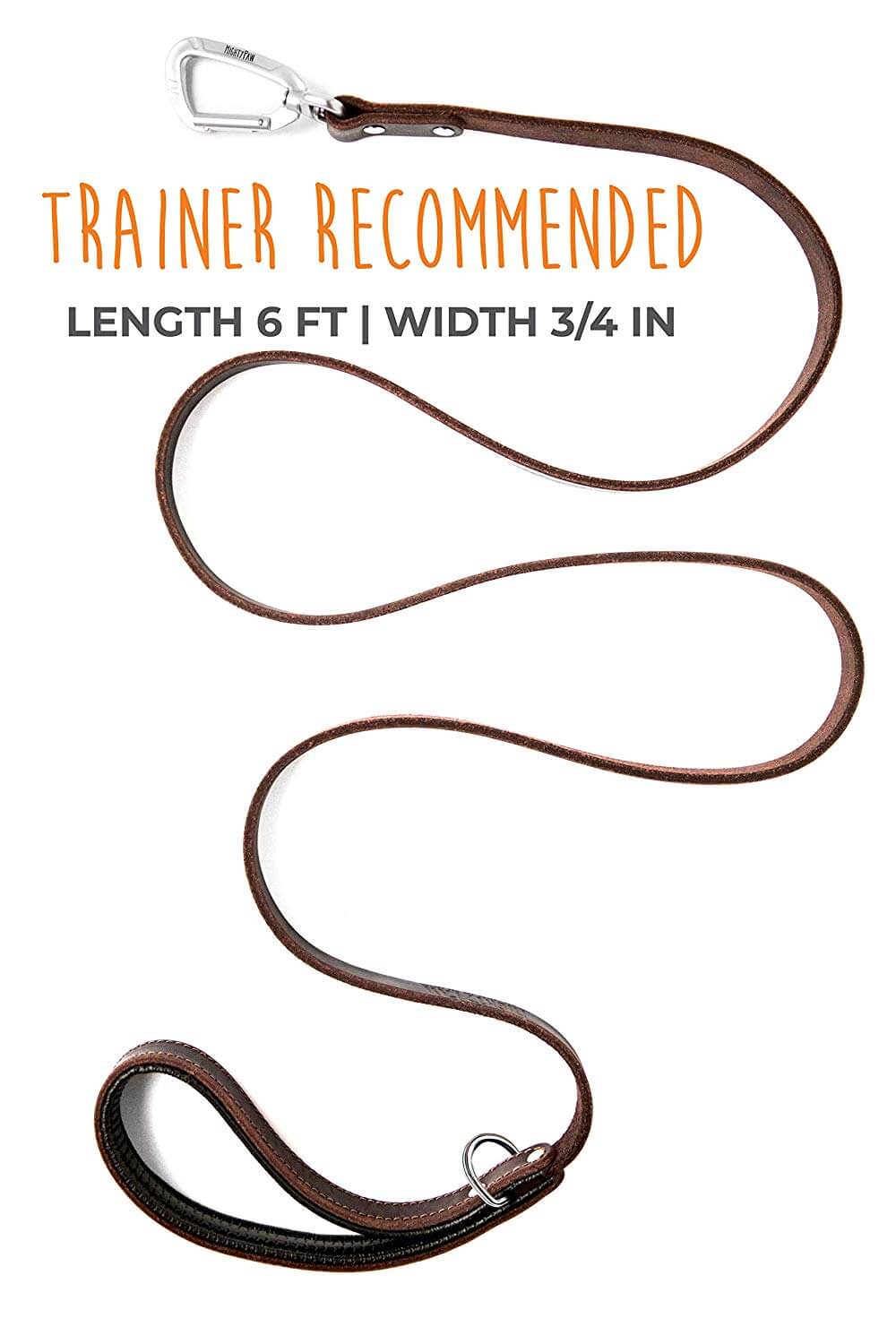 6-Foot Leather Leash