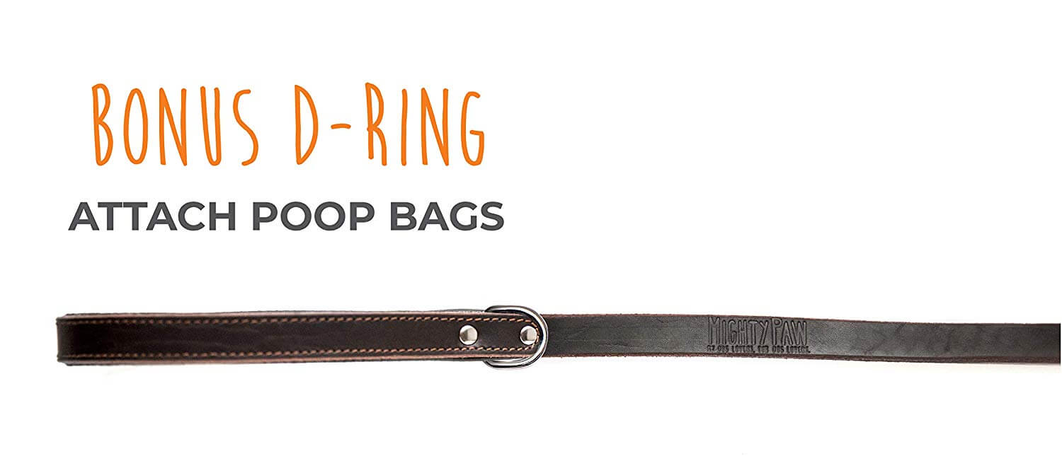 6-Foot Leather Leash