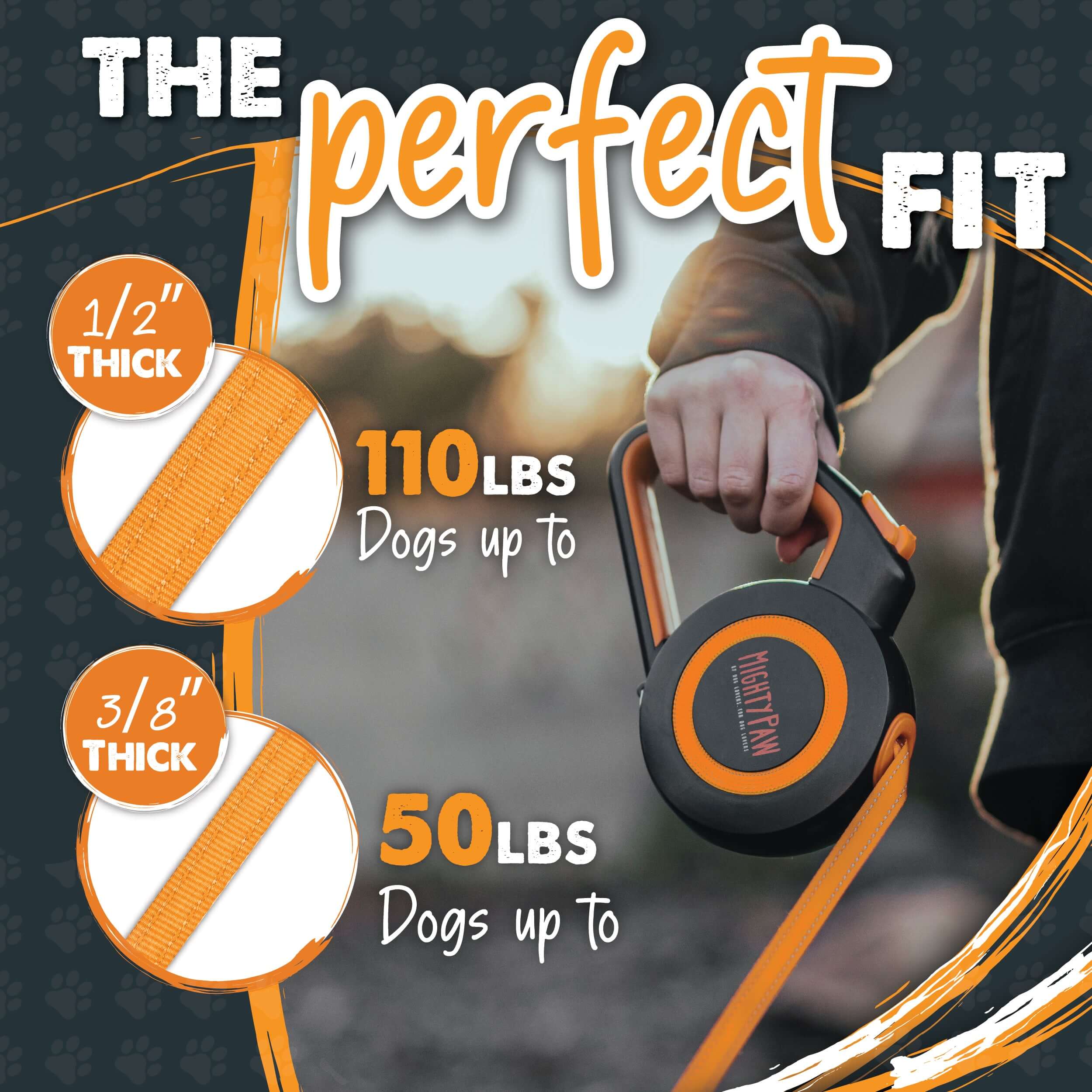 Retractable Leash 2.0