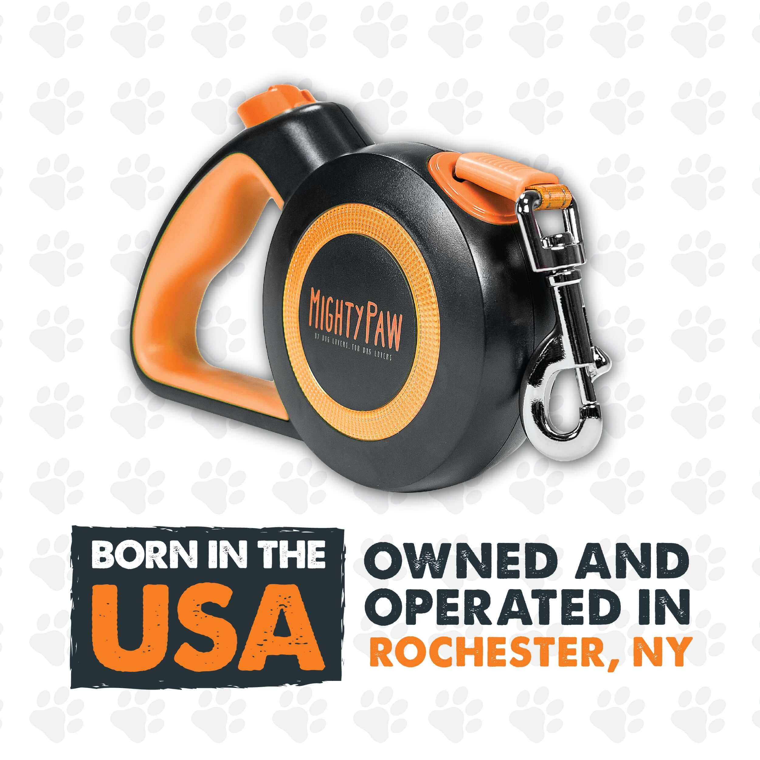 Retractable Leash 2.0