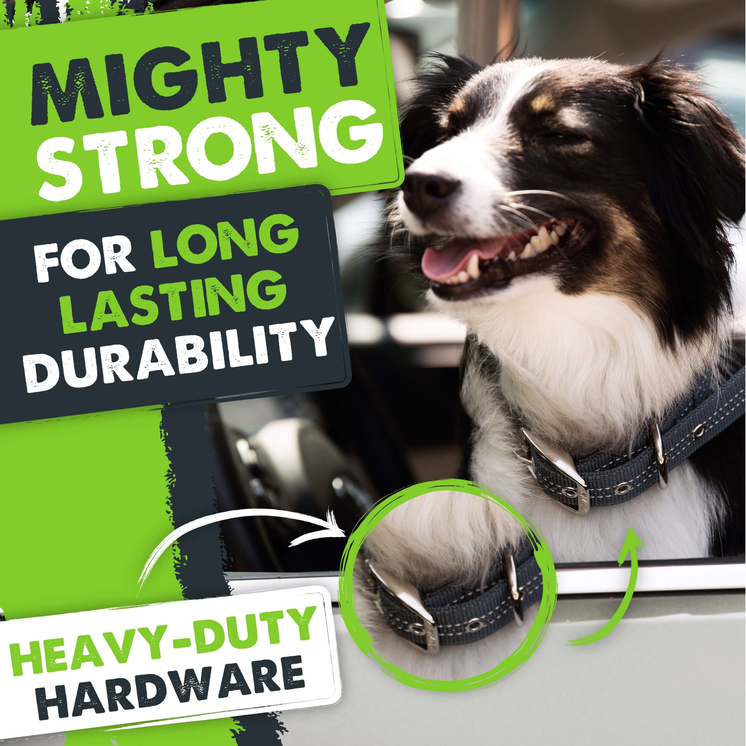 Mighty Paw Sport Collar 2.0 for Active Dogs