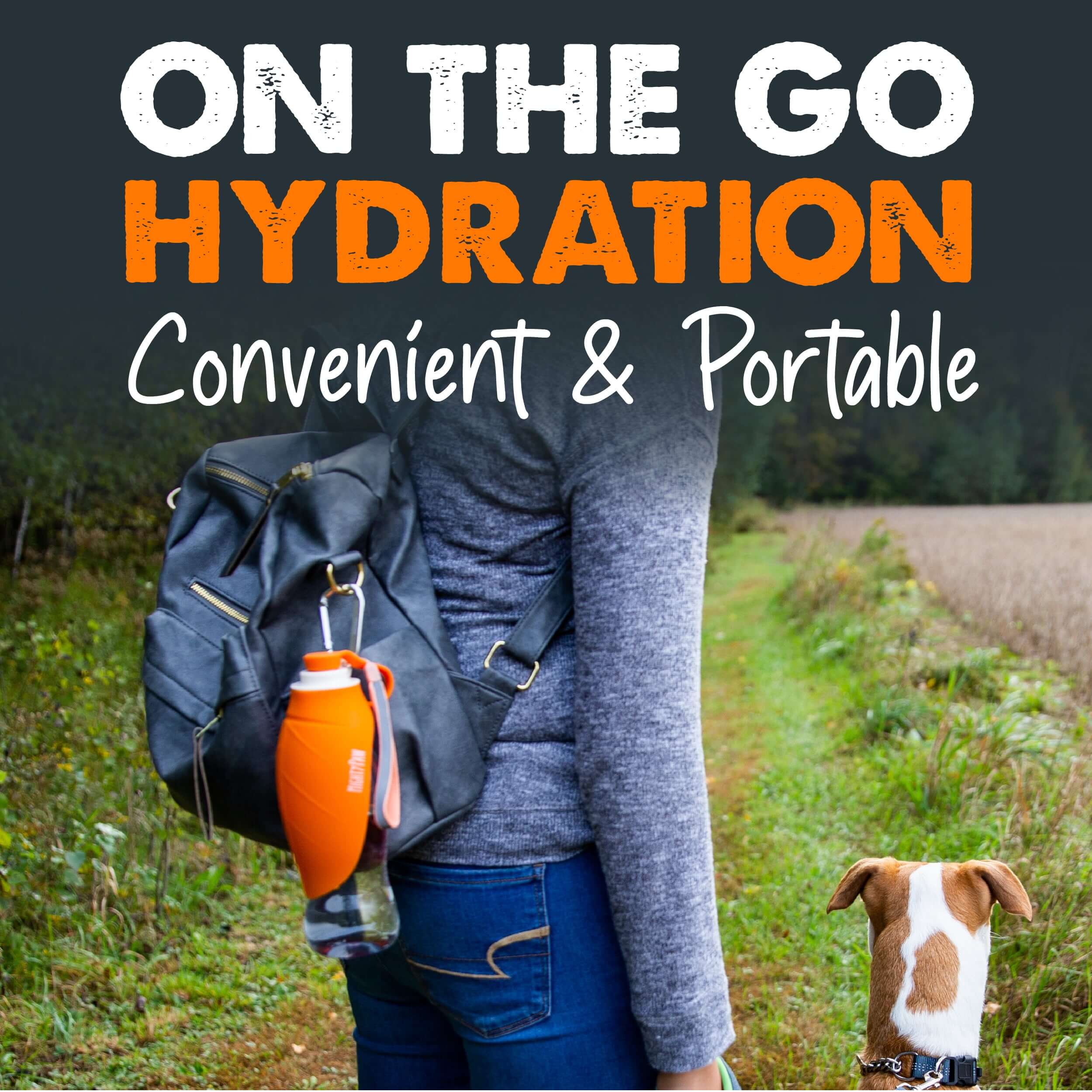Travel Water Bottle