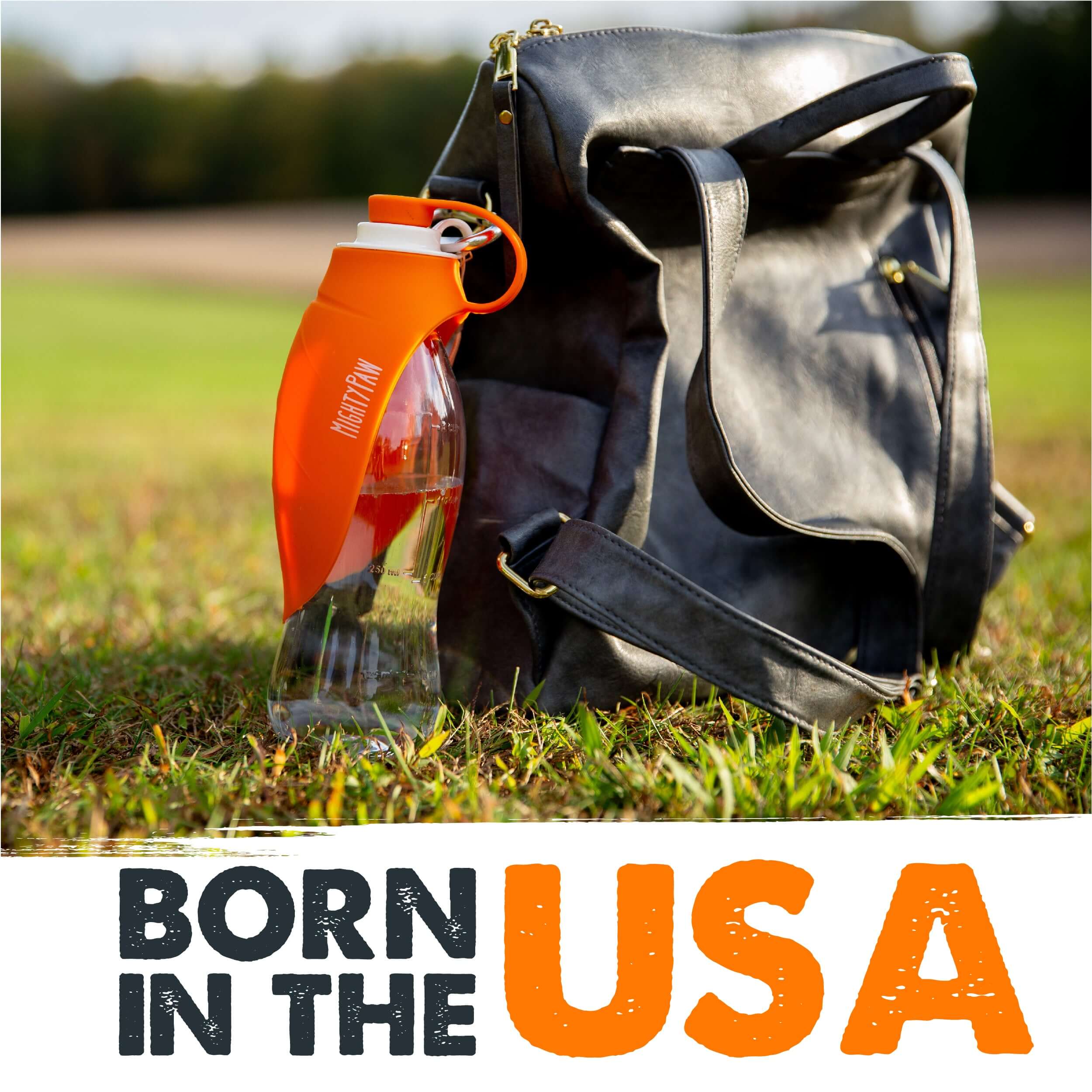 Travel Water Bottle