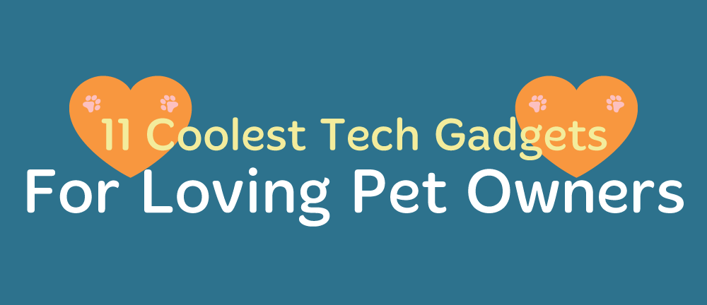 11 Coolest Tech Gadgets for Loving Pet Owners + Surprise Bonus