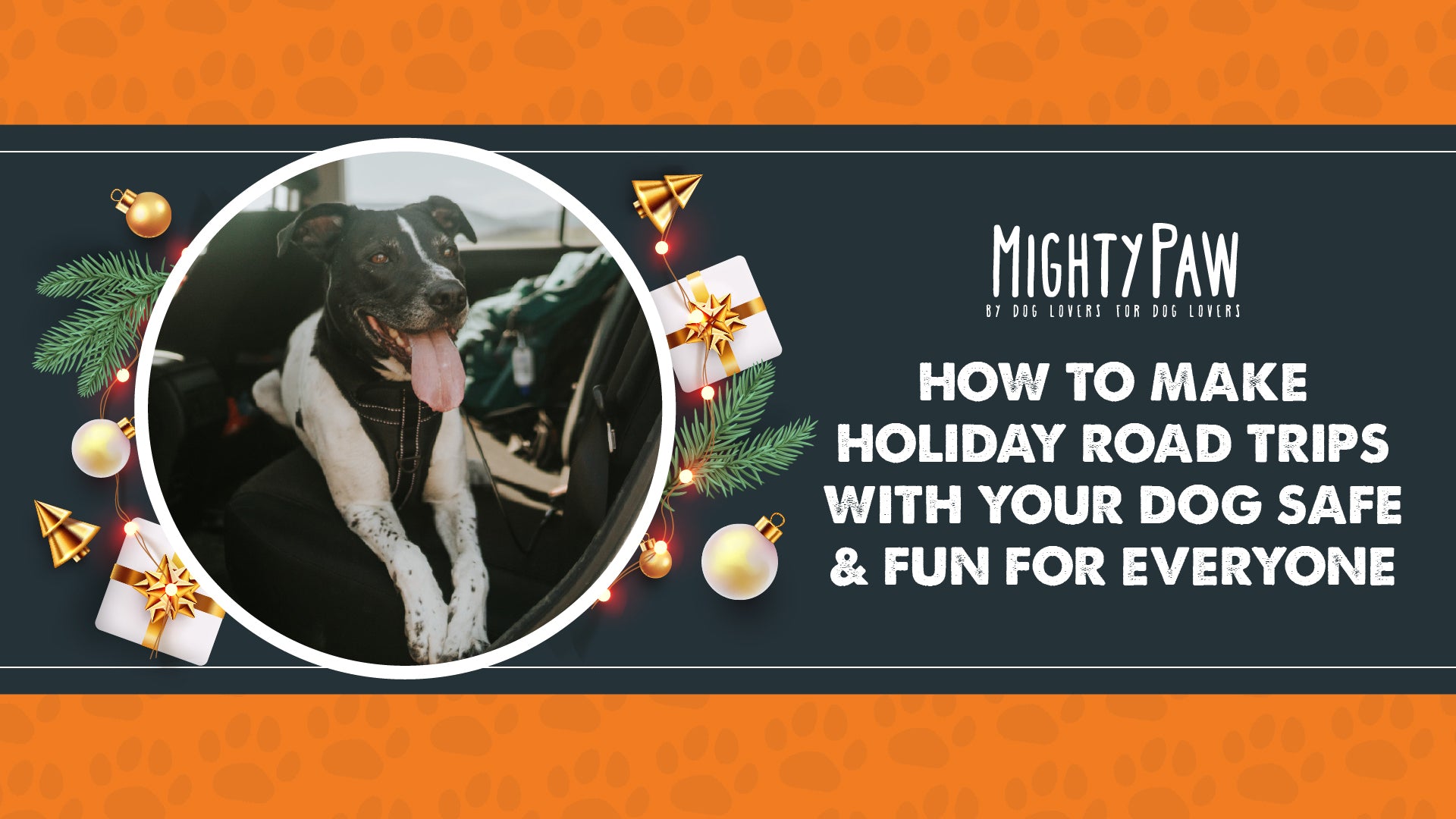 How to make holiday road trips with your dog safe and fun for everyone
