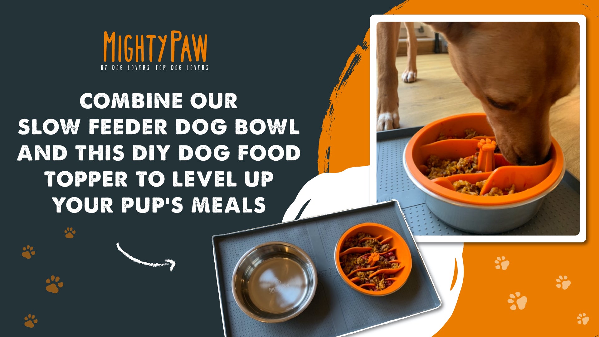 slow feeder dog bowl and DIY homemade dog food topper