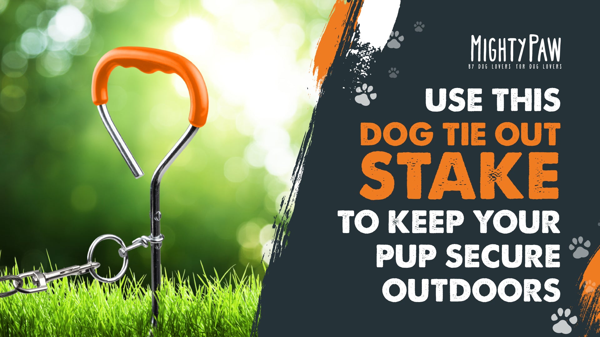Use This Dog Tie Out Stake To Keep Your Pup Secure Outdoors