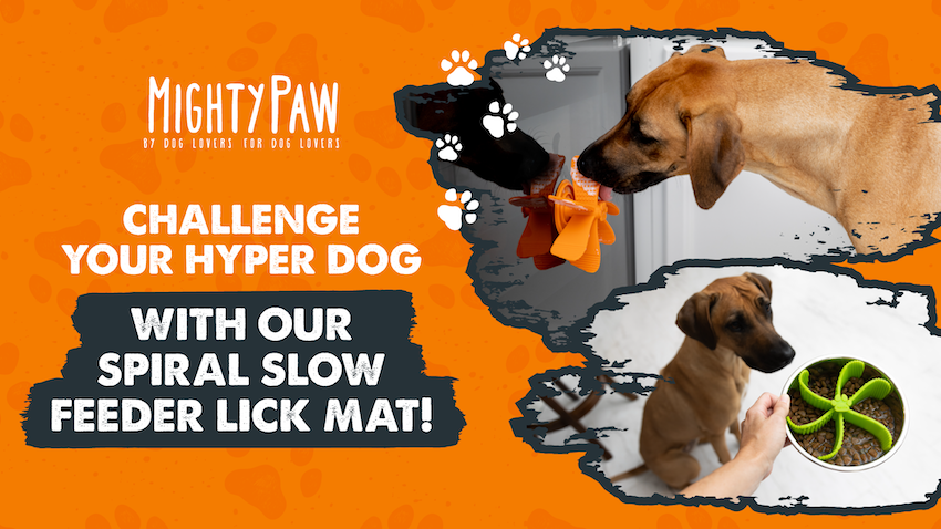 Challenge your hyper dog with our spiral slow feeder lick mat!