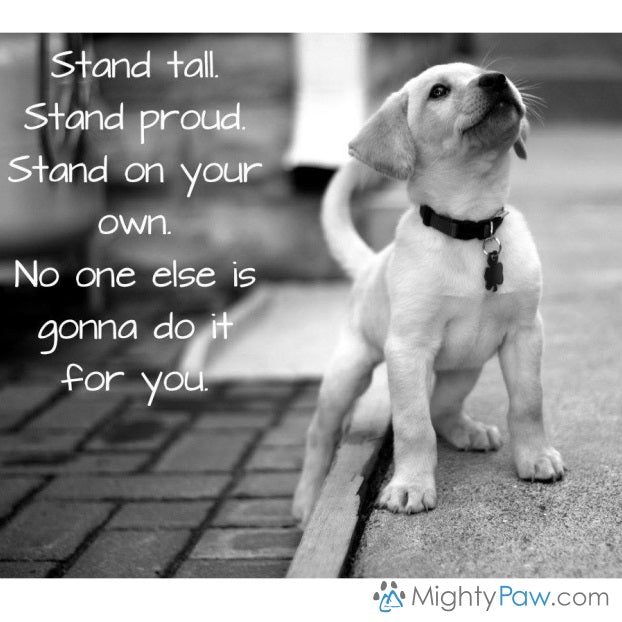 Wise Words… Stand up!