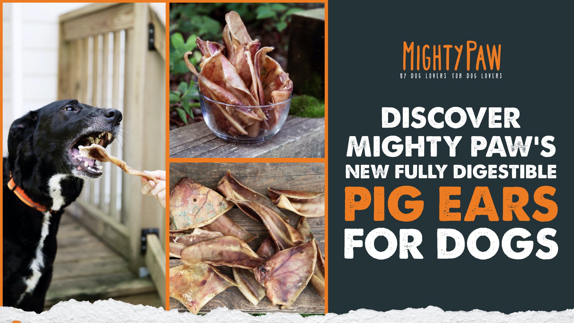Discover Mighty Paw's New Fully Digestible Pig Ears For Dogs