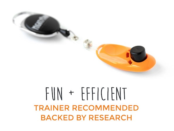 How to Use a Clicker for Dog Training
