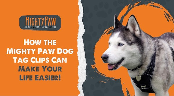 How the Mighty Paw Dog Tag Clips Can Make Your Life Easier