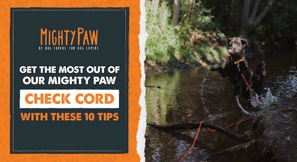 Get the most out of our Mighty Paw Check Cord with these 10 tips