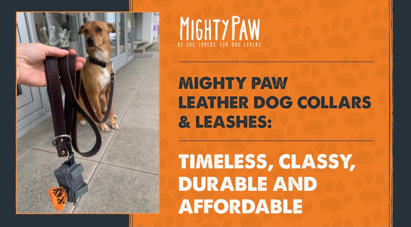 Mighty Paw Leather Dog Leashes & Collars: Timeless, Classy, Durable and Affordable