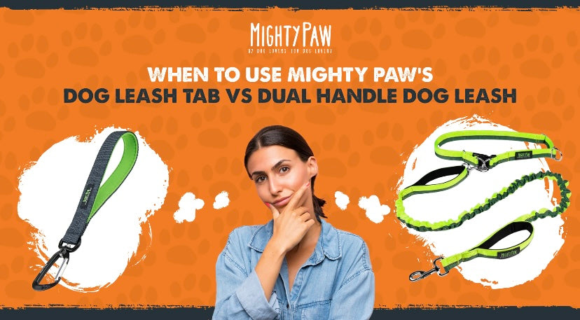 When To Use Mighty Paw's Dog Leash Tab vs Dual Handle Dog Leash