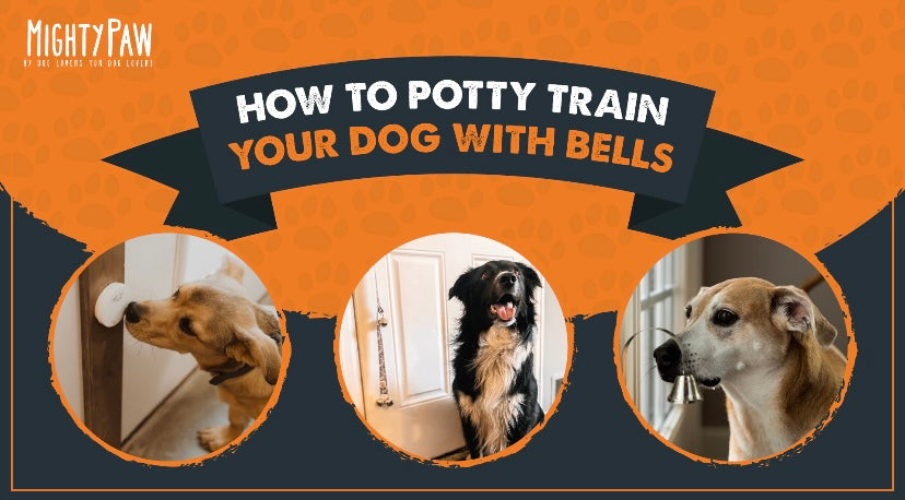 How to potty train your dog with bells