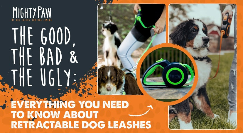 The Good, The Bad & The Ugly: Everything You Need To Know About Retractable Dog Leashes