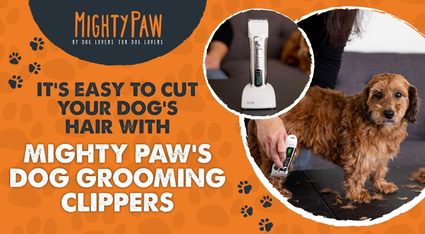It's Easy to Cut Your Dog's Hair with Mighty Paw's Dog Grooming Clippers