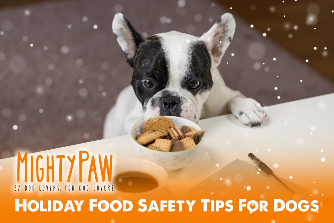 Holiday Food Safety Tips for Dogs + DIY Dog Food Topper Recipe
