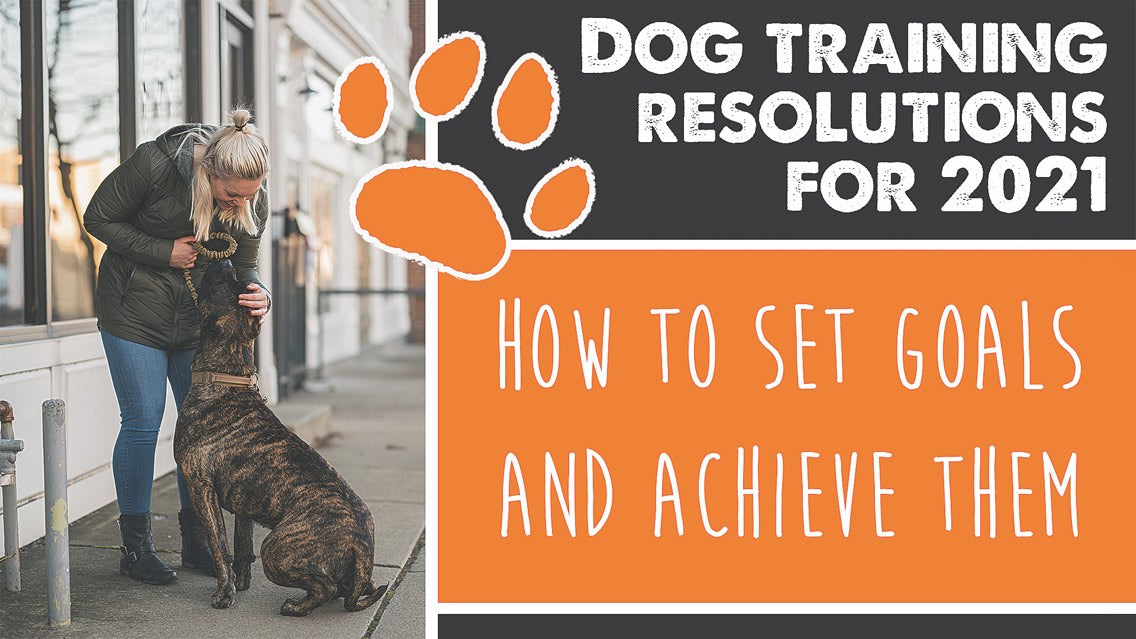 Dog Training Resolutions for 2021: How To Set Goals & Achieve Them