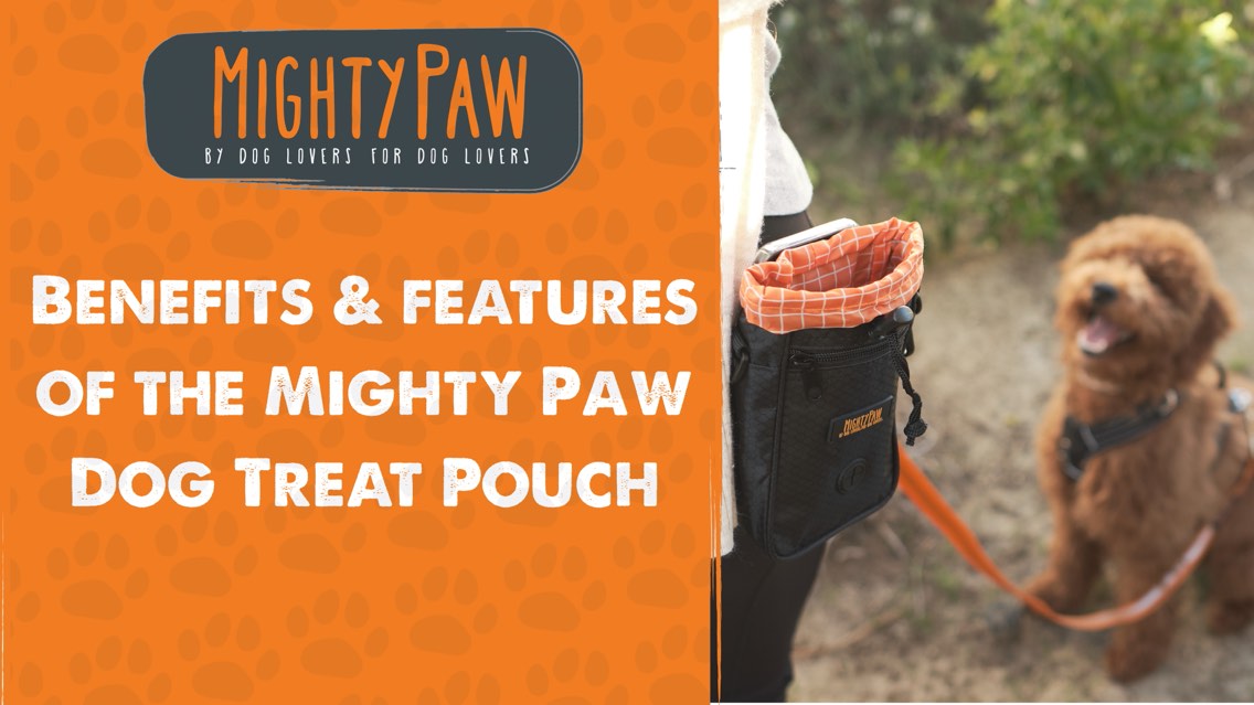Benefits & Features Of The Mighty Paw Dog Treat Pouch