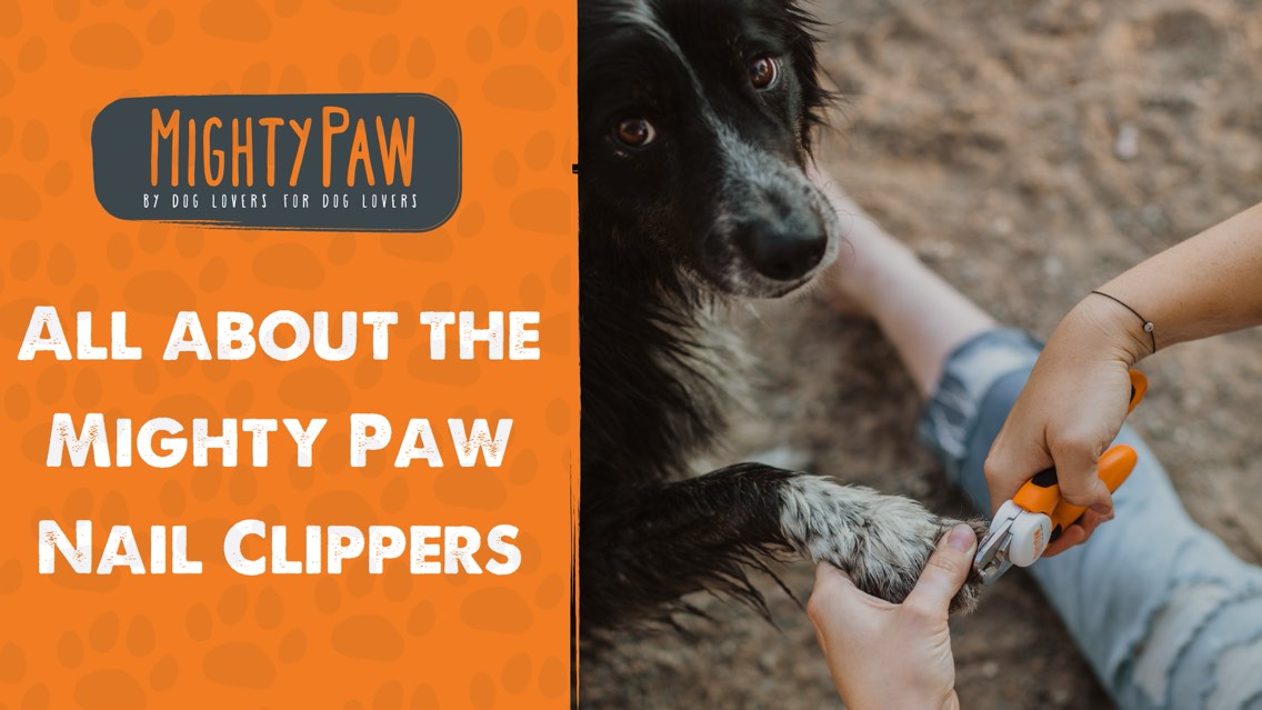 All About The Mighty Paw Dog Nail Clippers