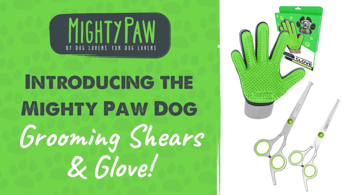 Introducing The Mighty Paw Dog Grooming Shears & Glove