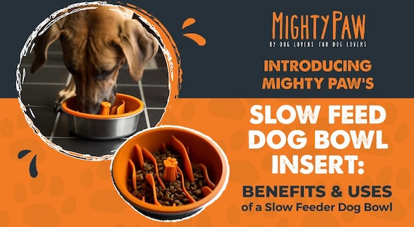 Introducing Mighty Paw's Slow Feed Dog Bowl Insert: Benefits & Uses of a Slow Feeder Dog Bowl