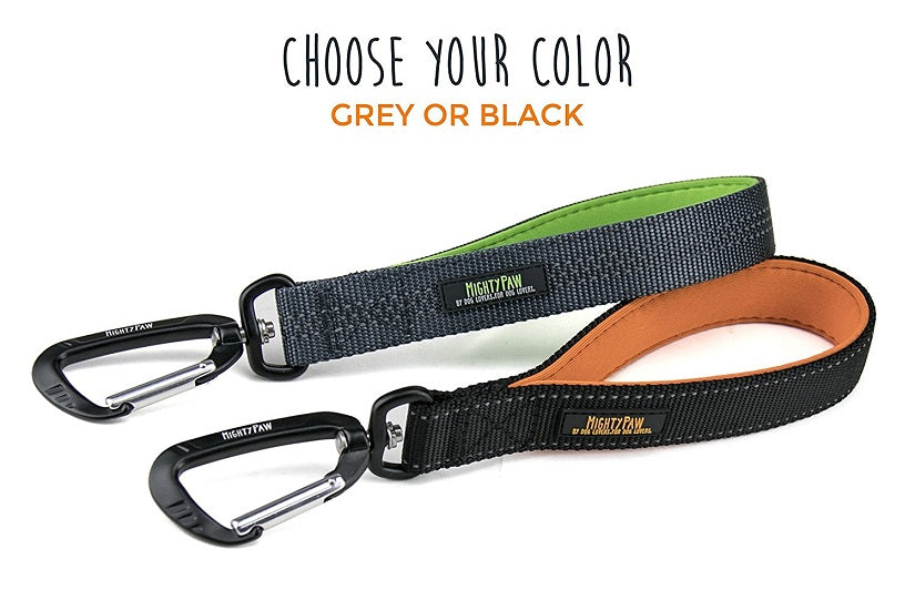 5 Uses for a Short Dog Leash or Leash Tab