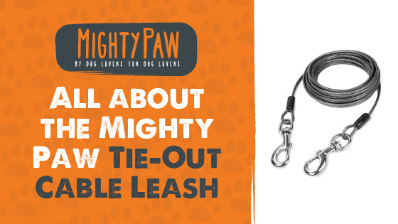 Mighty Paw Tie-Out Cable Leash For Dogs