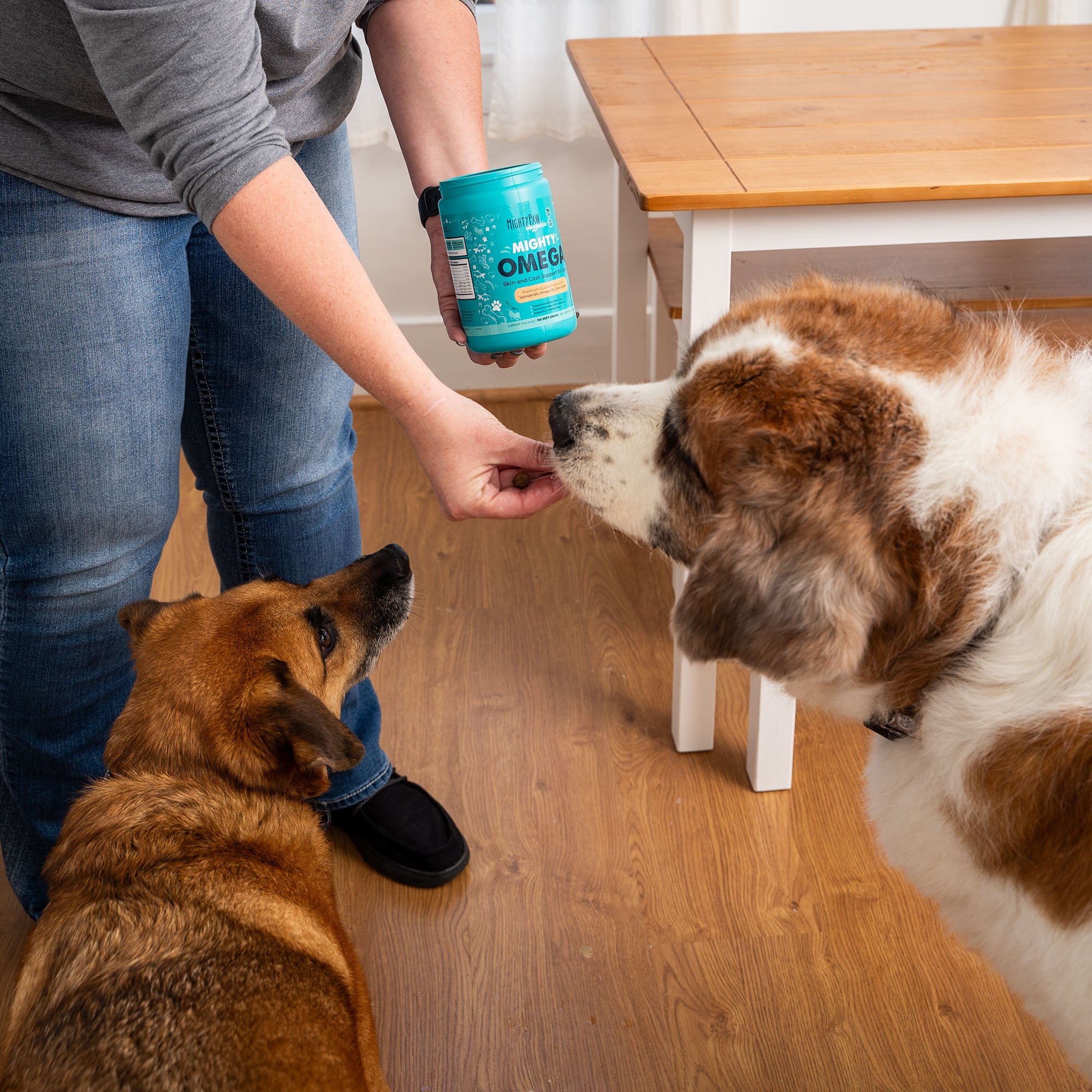 Dog owner gives two dogs Mighty Omega treat in kitchen.