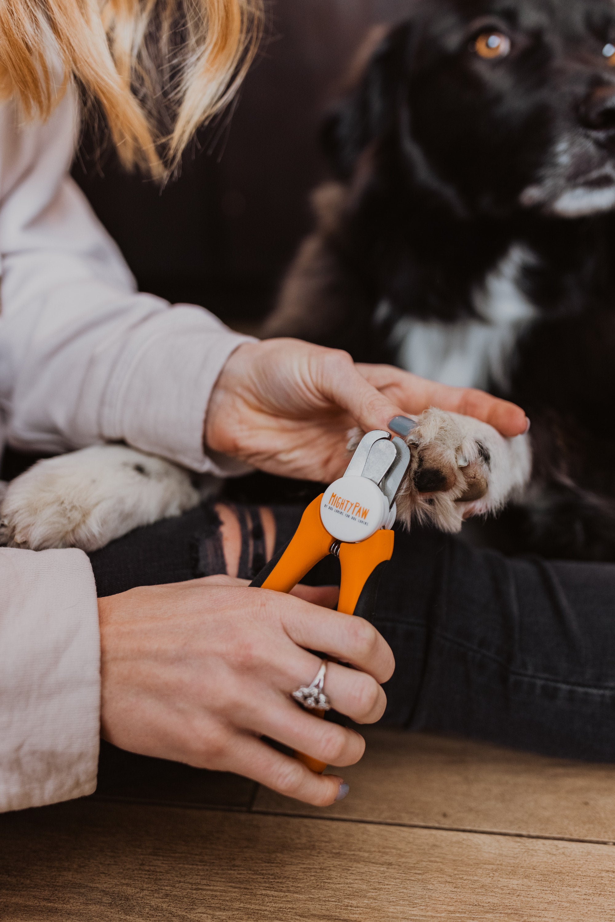 Woman cuts black dog's nails with orange Mighty Paw Nail Clippers.