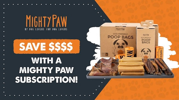 Save money with a Mighty Paw subscription on dog chews and poop bags
