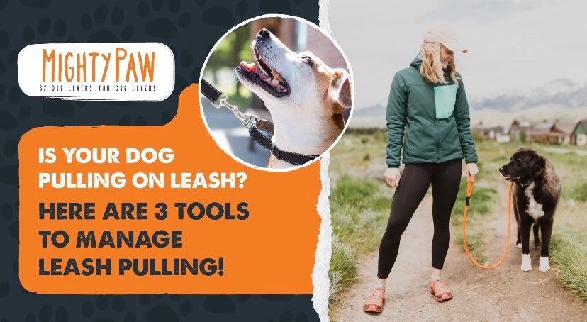 Mighty Paw: Is Your Dog Pulling On Leash? Here Are 3 Tools To Manage Leash Pulling!