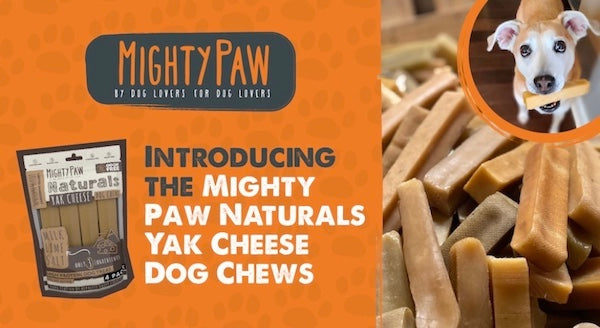 Introducing the Mighty Paw Naturals Yak Cheese Dog Chews