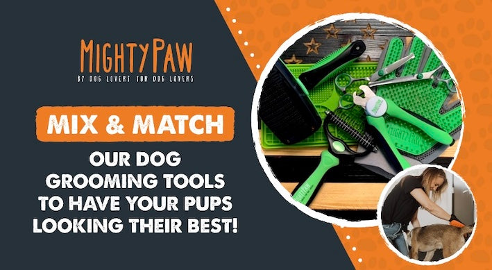 Mix & Match The Mighty Paw Dog Grooming Tools to Have Your Pups Looking Their Best