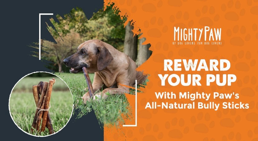 Reward your pup with Mighty Paw's All-Natural Bully Sticks