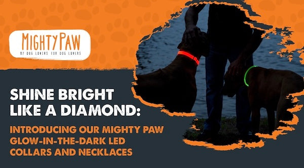 Shine Bright Like A Diamond: Introdcuing our Mighty Paw Glow in the dark LED Collars and Necklaces