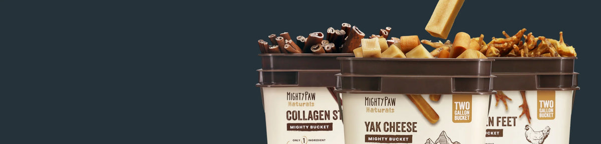 Holiday Bucket Deals