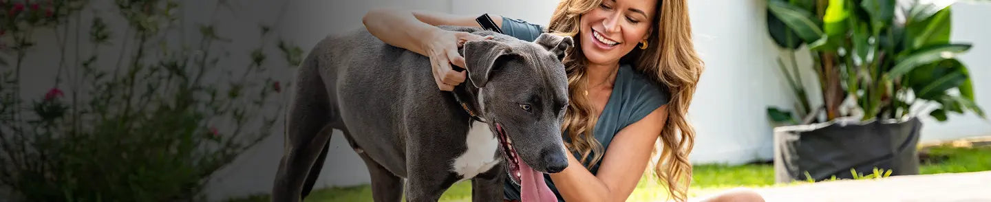 For New Dog Parents