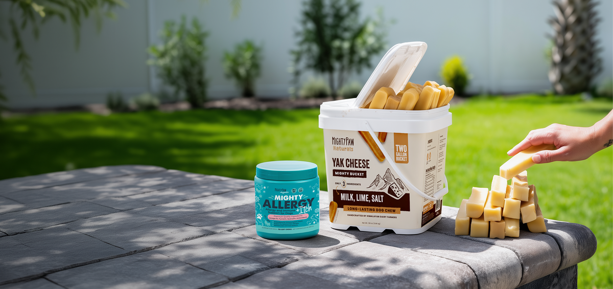 Buy a Bucket, Get More