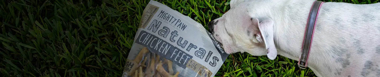 CHEWS AND TREATS