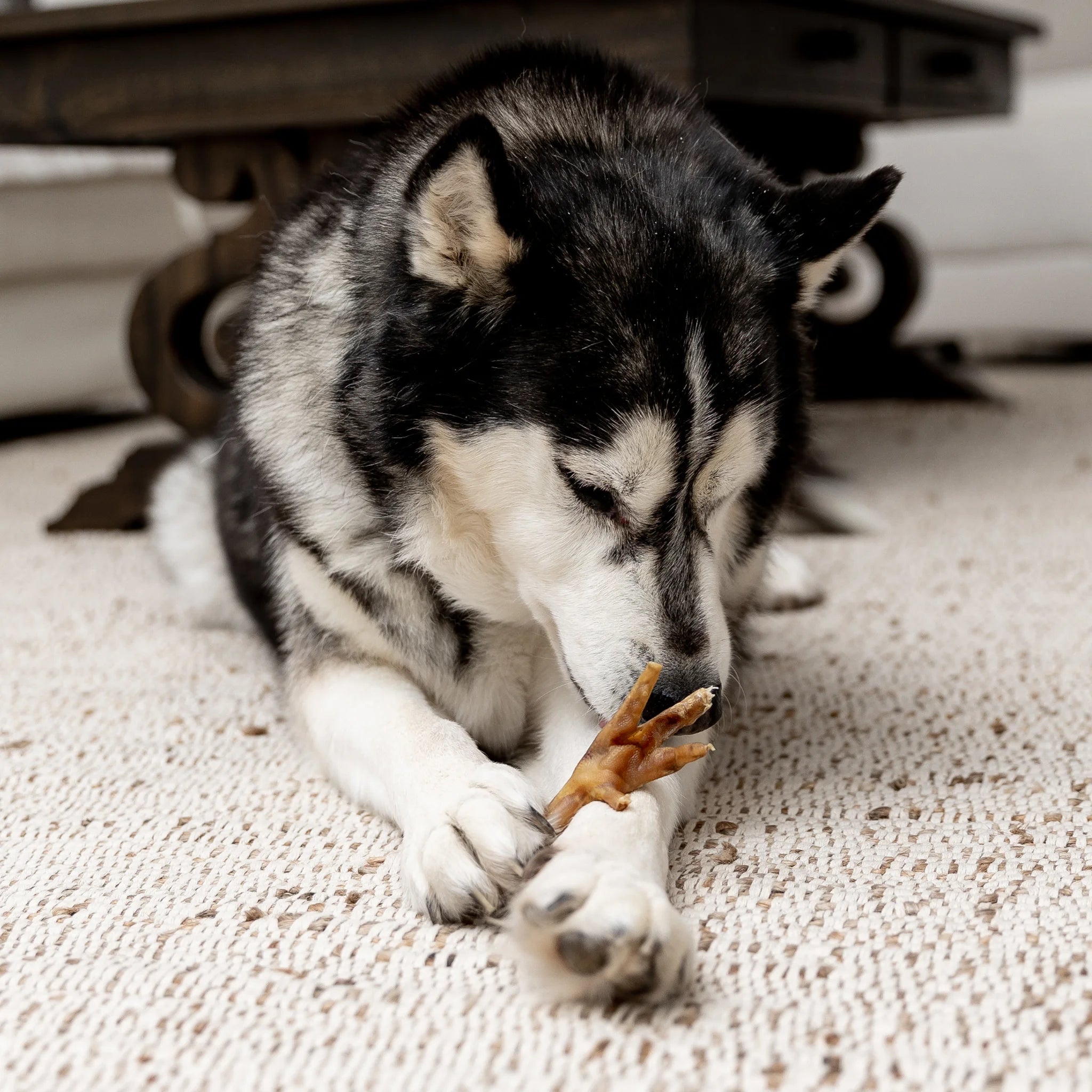 Bulk Bucket Chicken Feet
