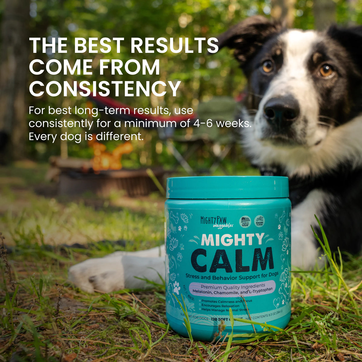 Mighty Calm: Stress and Behavior Supplement for Dogs