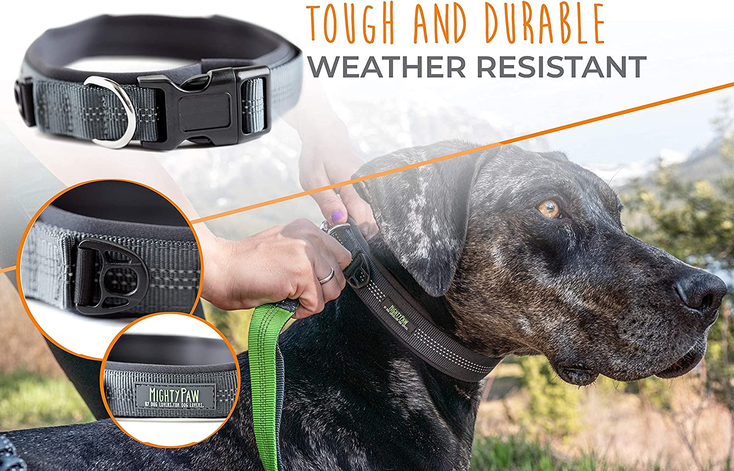 Wainwright padded dog top collar