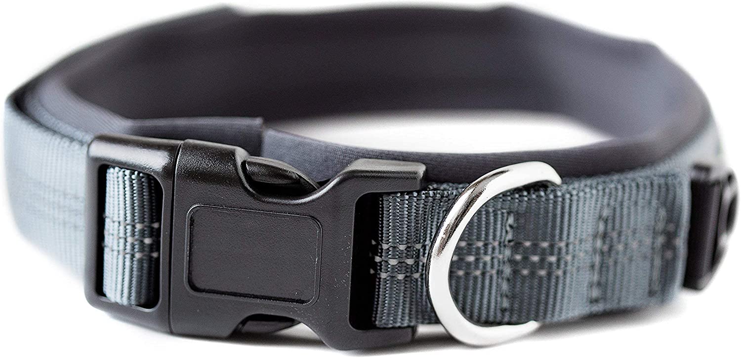 Padded Dog Collar