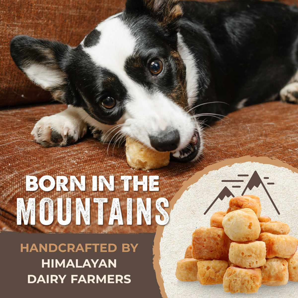 All-natural Yak Cheese Puffs