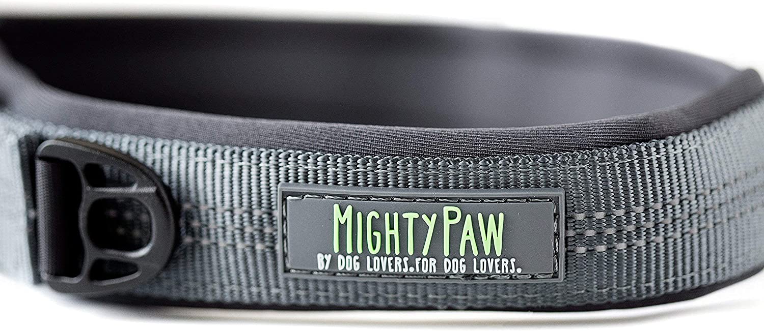 Neoprene Padded Dog Collar - Mighty Paw Sport Collar with Reflective Stitching