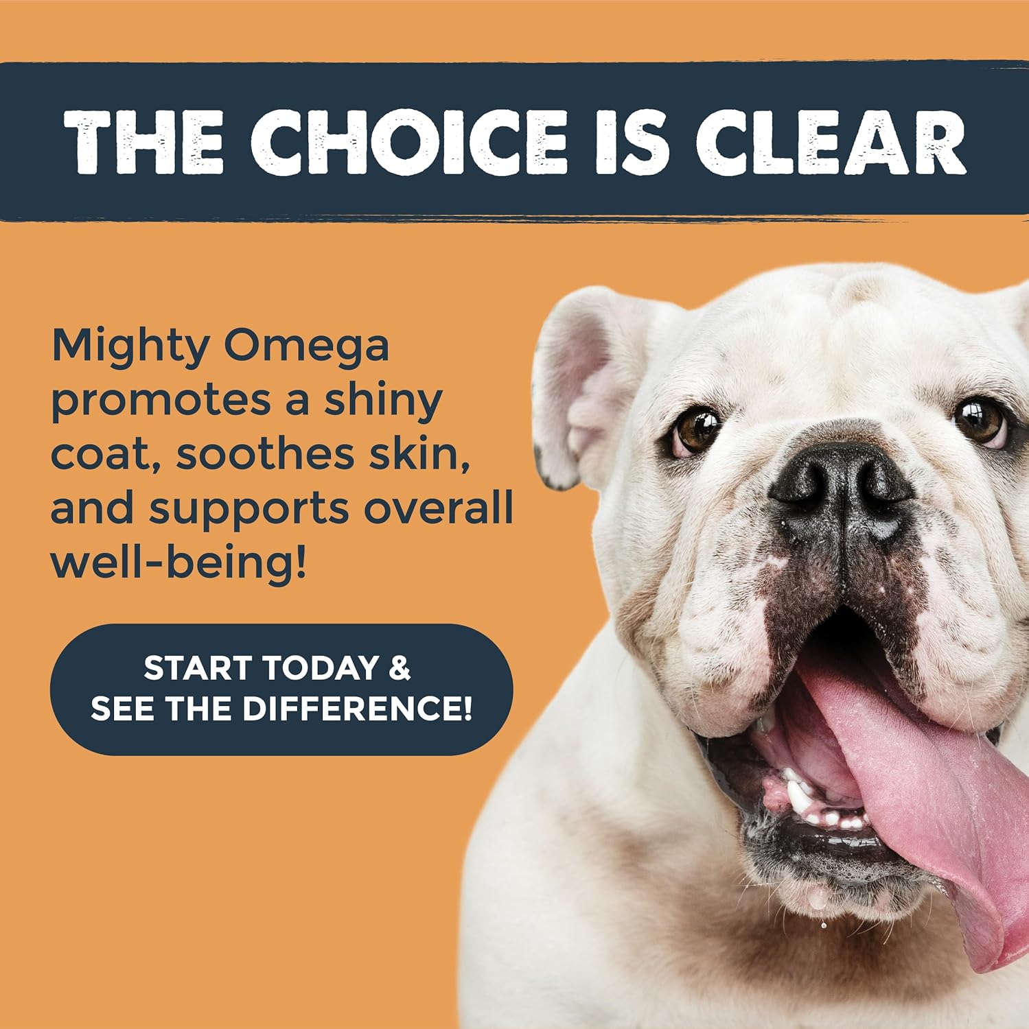 Mighty Omega: Skin & Coat Supplement for Dogs