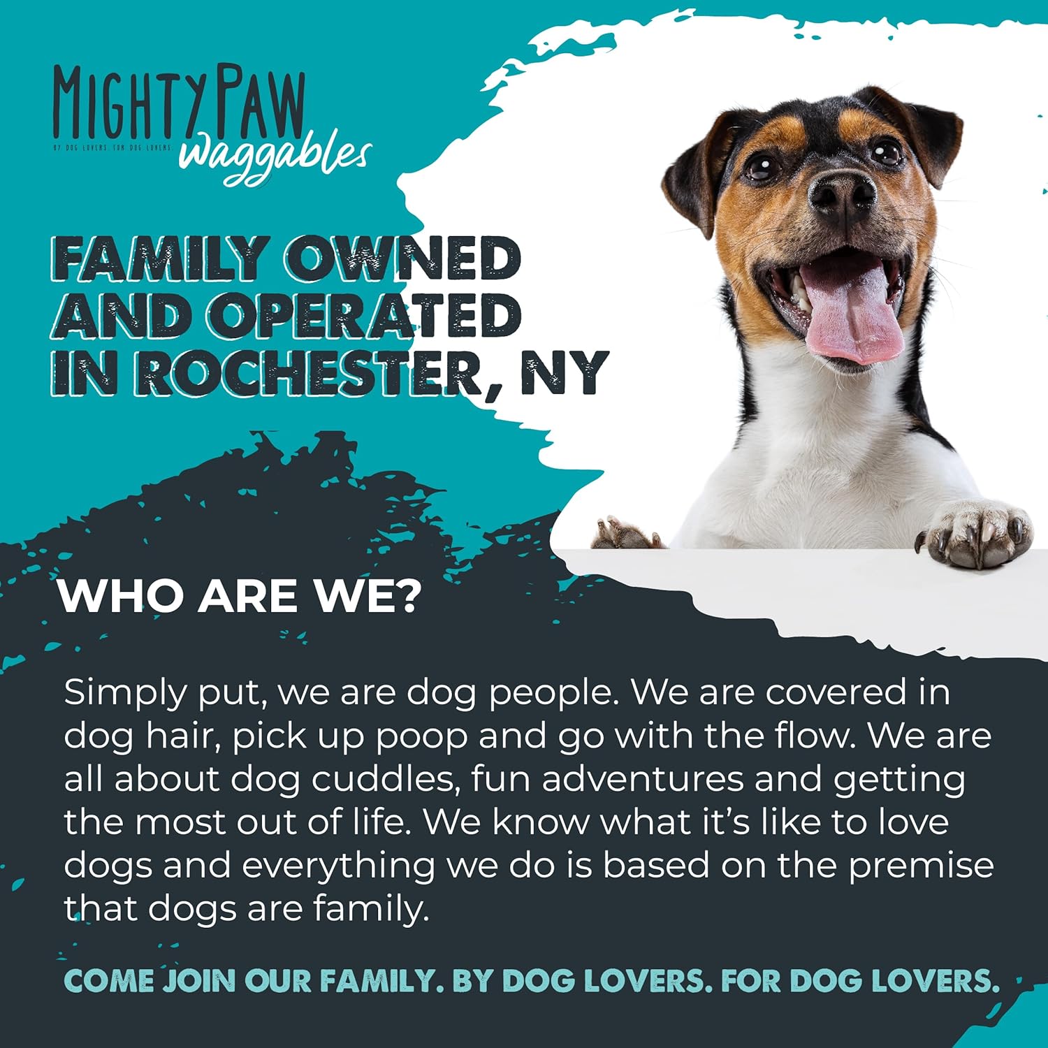 Mighty Scoot Stopper: Anal Gland Support Supplement